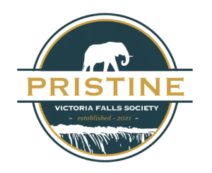 Prestine-Vic-falls-Logo-01-1-300x244